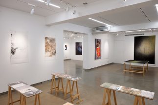 Solo Exhibition 