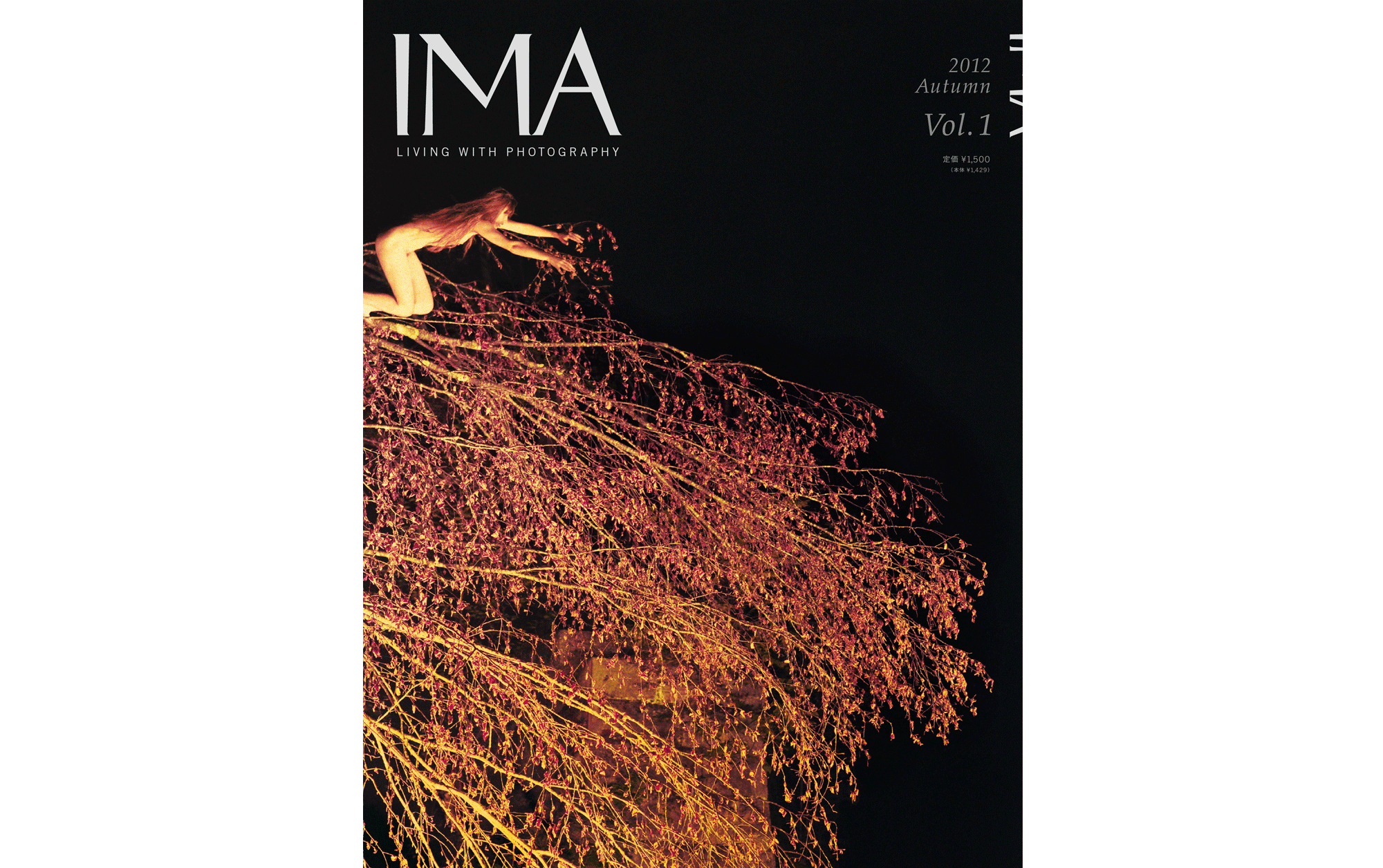 IMA MAGAZINE   IMA ONLINE