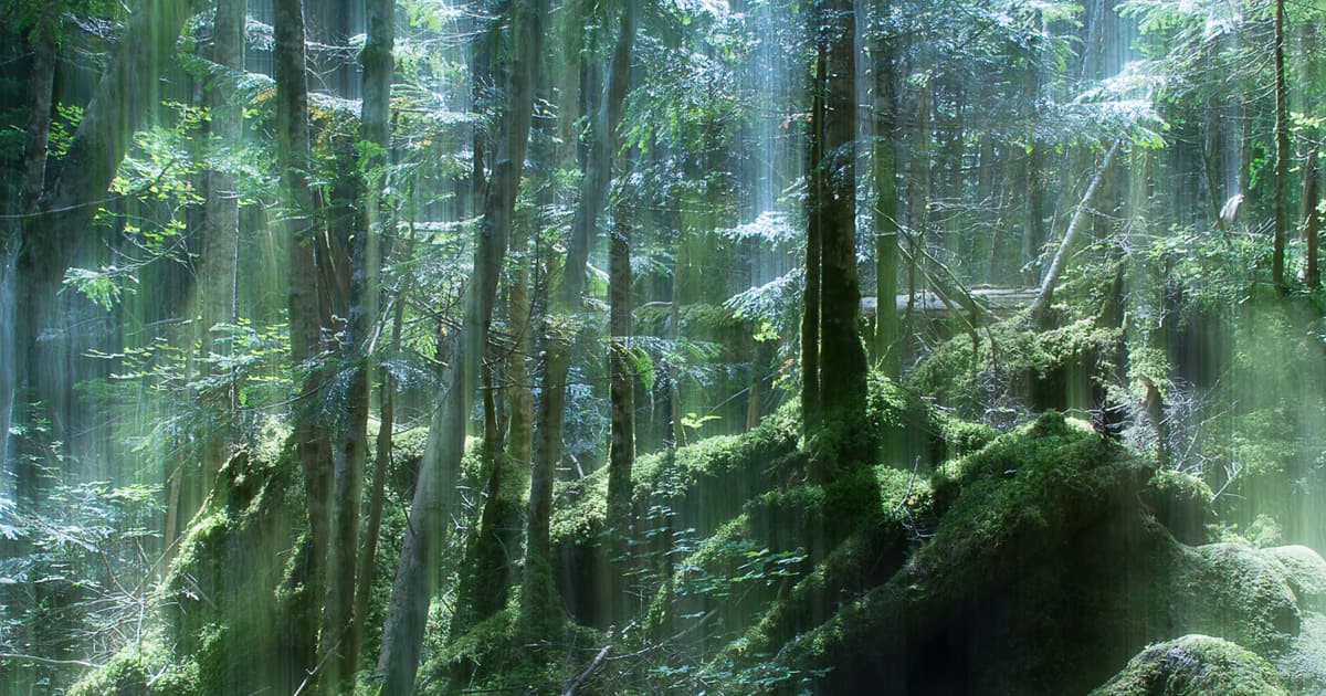 new-0711kawaba-new-nature-