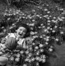 花壇での遊び、パラナ州ロンドリーナ、シャカラ・アララ、1950年頃