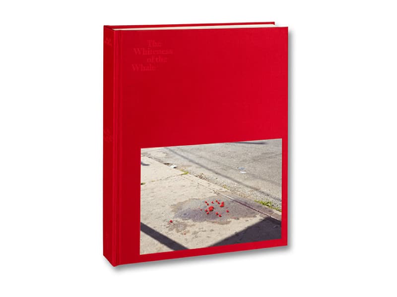 世界の写真集マーケットを牽引するマイケル・マックが語る、出版人としての20年の軌跡と哲学 | 『The Whiteness of the Whale』Paul Graham
