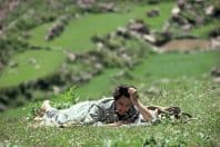 山で一人、本を読む抵抗運動の指導者マスード　