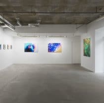 Kana Kawanishi Gallery