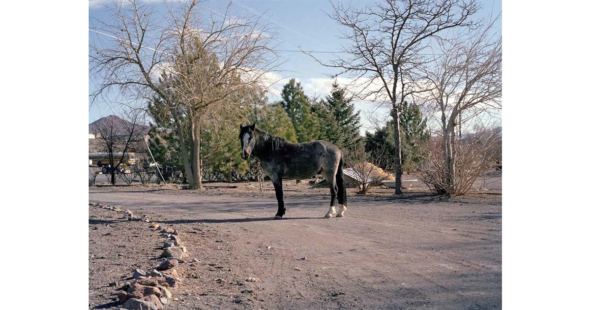 シャルロット・デュマ／Charlotte Dumas | IMAPEDIA | IMA ONLINE