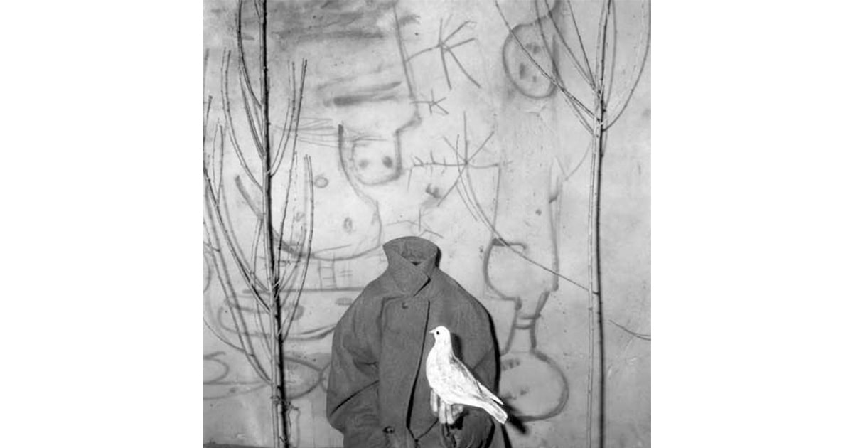 ロジャー・バレン／Roger Ballen | IMAPEDIA | IMA ONLINE