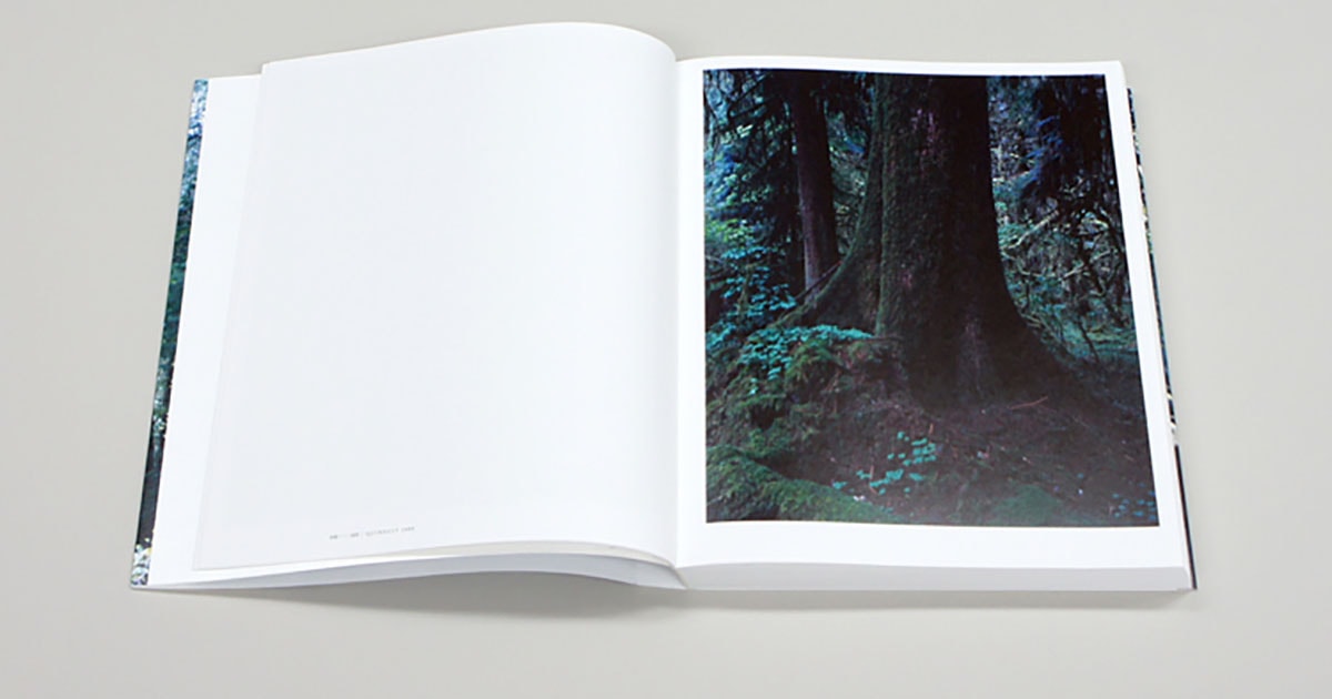 上田義彦が30年間で紡いだ“森”作品の軌跡『FOREST 印象と記憶 1989 