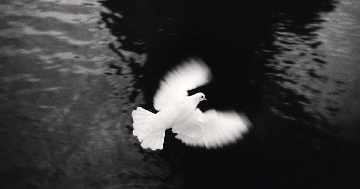 ☆残りわずか☆【 A 45 YEAR ODYSSEY 】 Michael Kenna /サイ