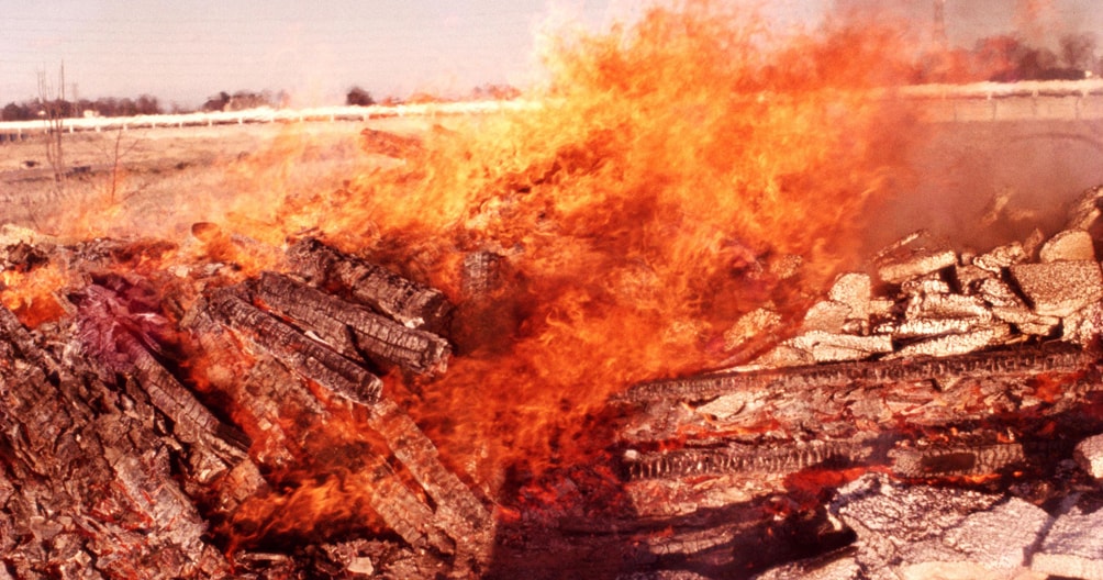 森山大道「RADIATION（color）」展、1970〜80年代のカラー写真を