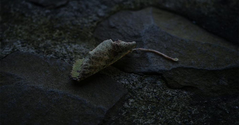 落合陽一　質量への憧憬 写真家としての落合陽一が見せる質量と物質感。「質量への憧憬
