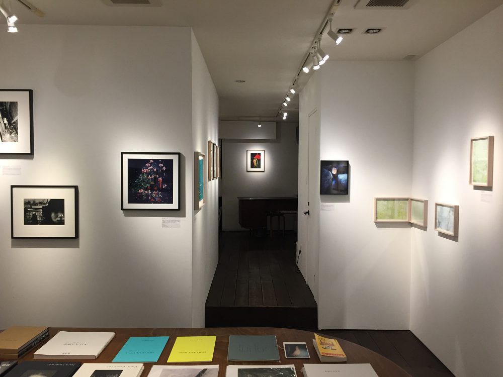 Gallery Show 2019