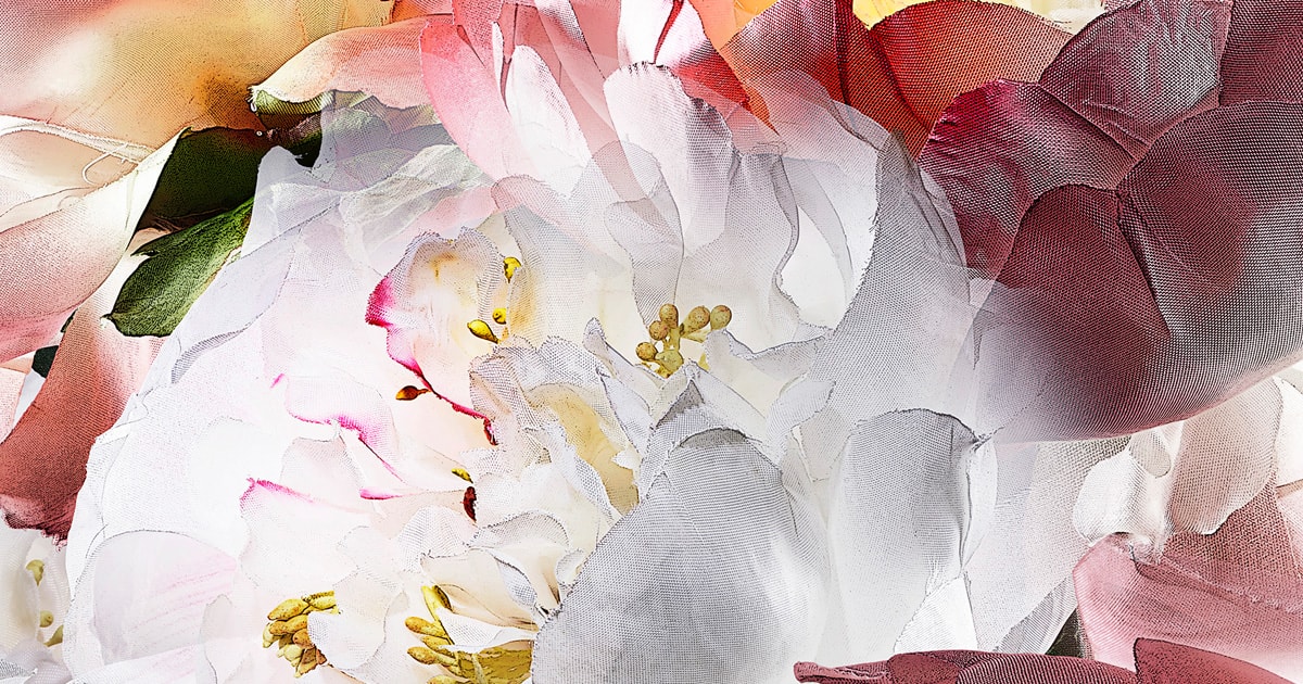 藤間謙二「The Most Beautiful Flowers」花の図鑑写真集 藤間謙二「The Most Beautiful Flowers」花の図鑑写真集 Kenji