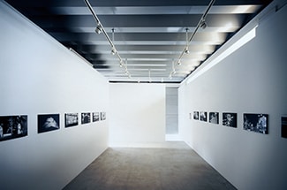 gallery 176