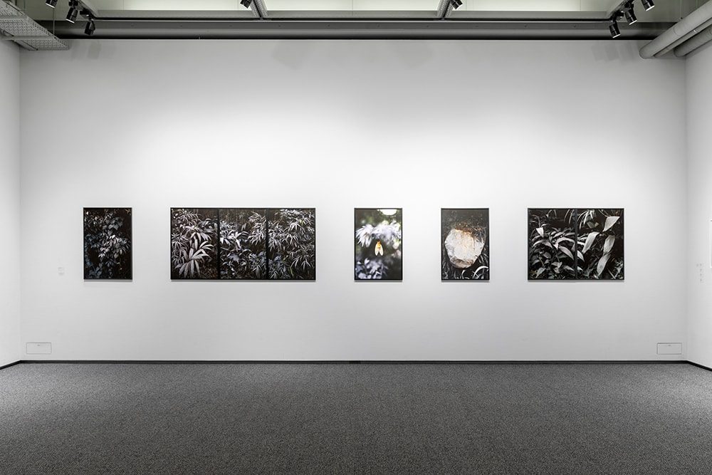 IMA galleryで開催した「LUMIX MEETS BEYOND 2020 by Japanese Photographers #7」東京展の展覧会風景。