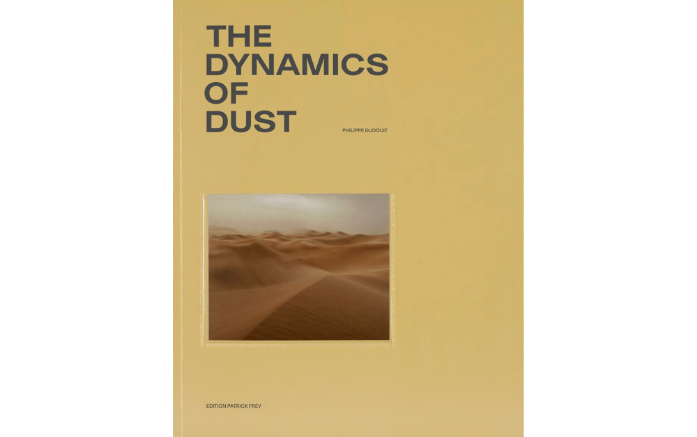 THE DYNAMICS OF DUST
