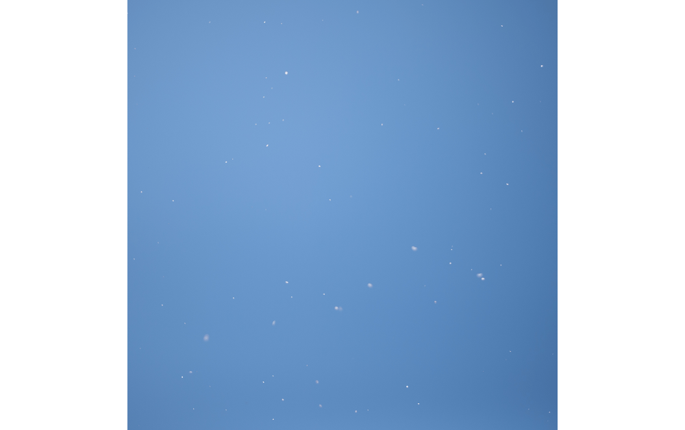 月雪花 Sakura,Snow,Sky