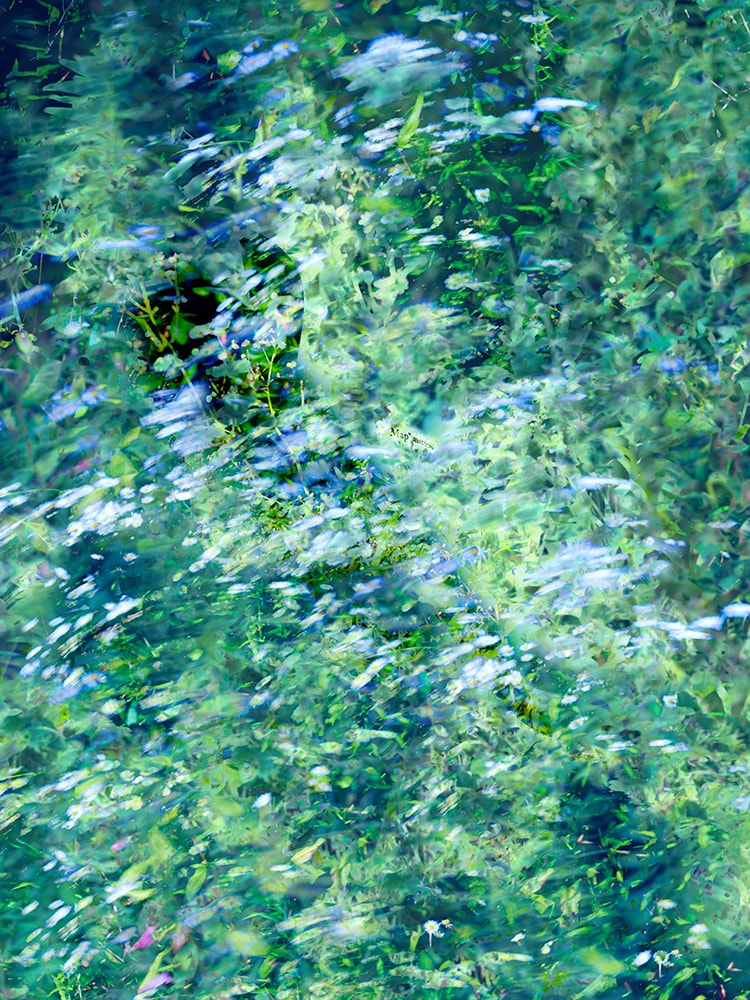 news-20210120azamino-photo_04