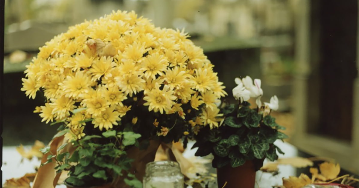 初めて訪れたパリで写真家は何をとらえたのか？髙橋恭司「midnight