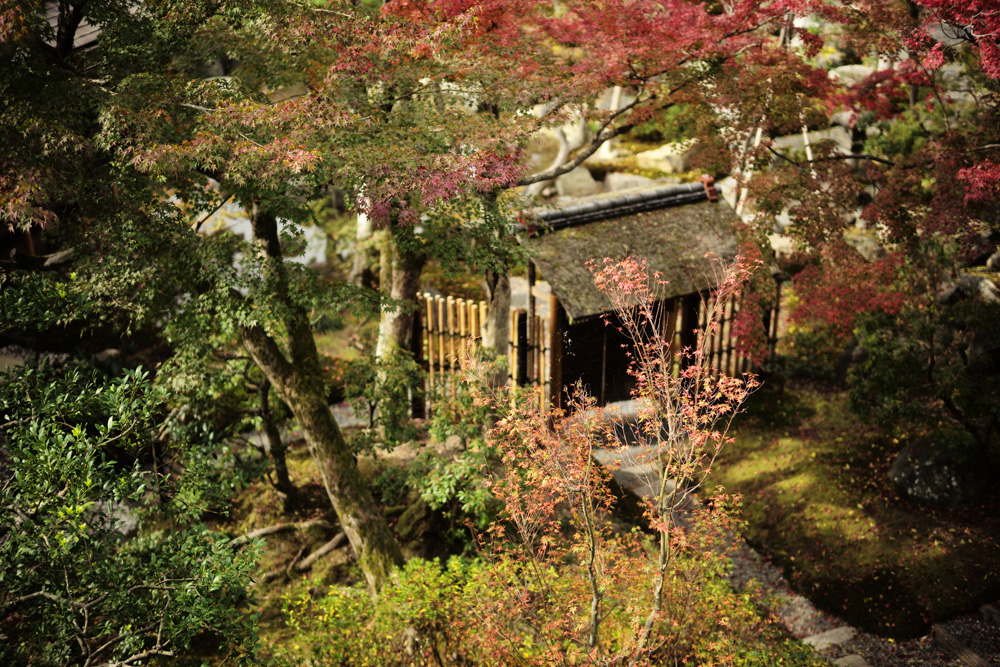 パーク ハイアット 京都が共存する「山荘 京大和」の敷地内にある日本庭