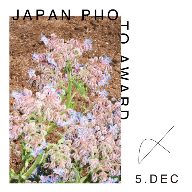 JAPAN PHOTO AWARD Vol.9