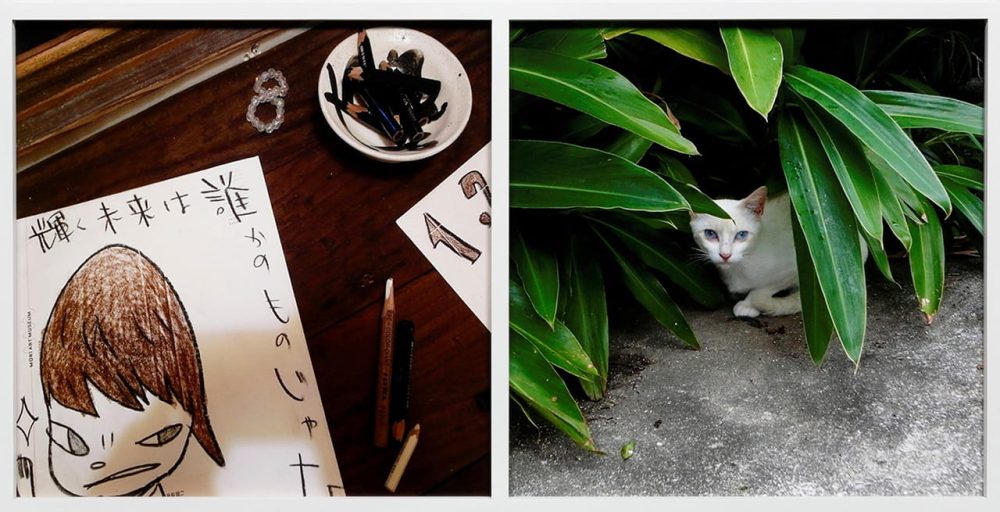 奈良美智《NY Drawing (left); Yogyakarta Cat (right)》〈days 2003-2012〉より 2003–2012年 東京都写真美術館蔵 ©Yoshitomo Nara