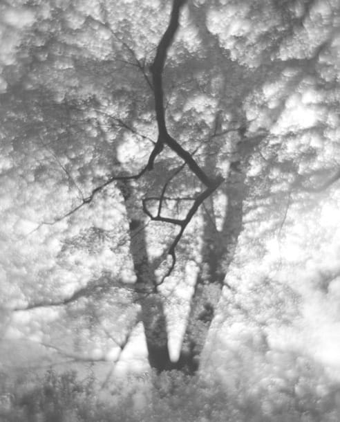 『 残 像 』― 木々の中の散歩道 ―