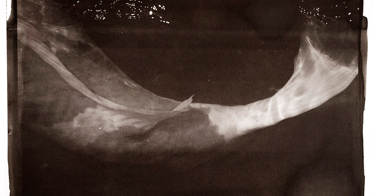 写真家 大和田良 B1プリント 大和田良 個展『UNDERWATER』2023年7月21日～8月26日 @南青山 | ShaSha