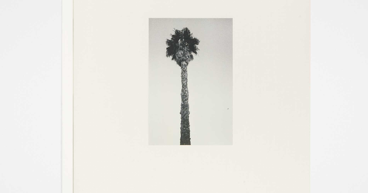 限定 JIL SANDER LOS ANGELS クリス・ローズ写真集 news-20230829los-angeles_og.jpg