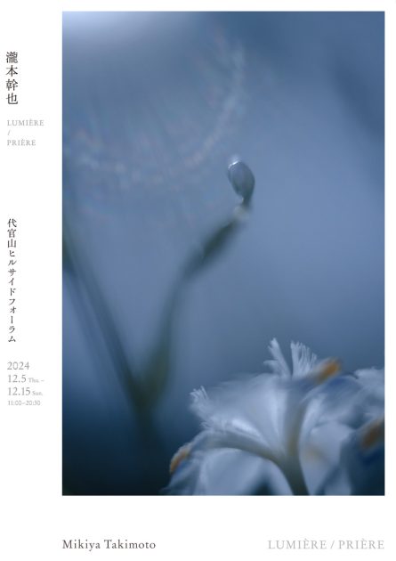 瀧本幹也が生命の循環や繋がりを見つめた写真展「LUMIÈRE / PRIÈRE」が
