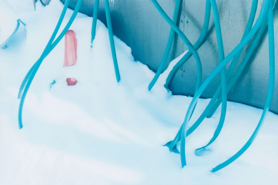 多様なホース写真から個を肯定する熊谷聖司展 | NEWS | IMA ONLINE