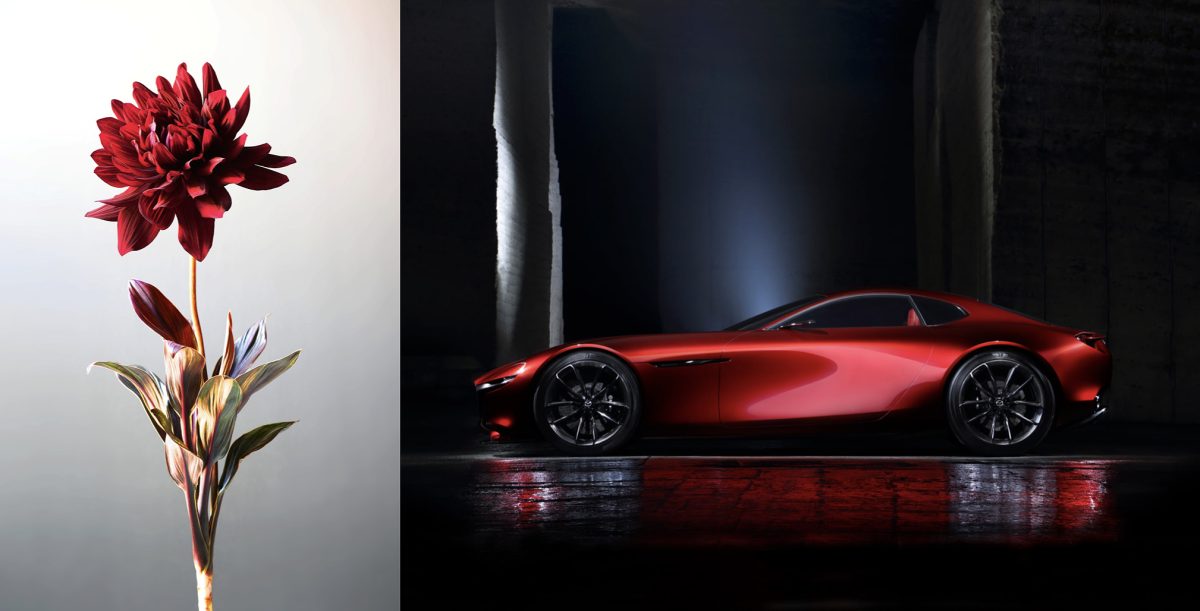 希少！　東京都板橋区から　アロートレーディング　ヤマジン　フルオプション車です！ 自動車好きが撮る花写真とは？MAZDA TRANS AOYAMAで開催 | NEWS | IMA