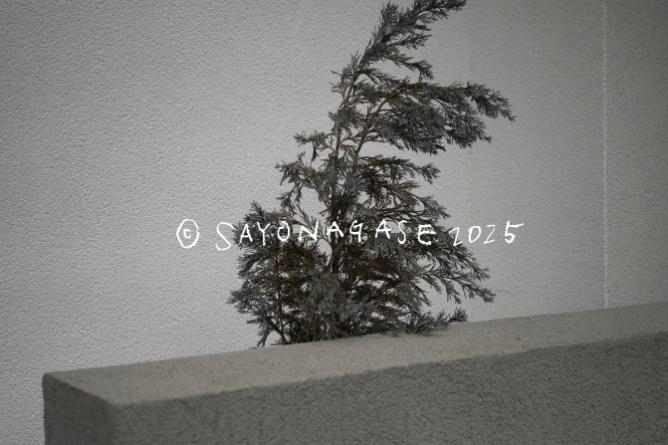 image001