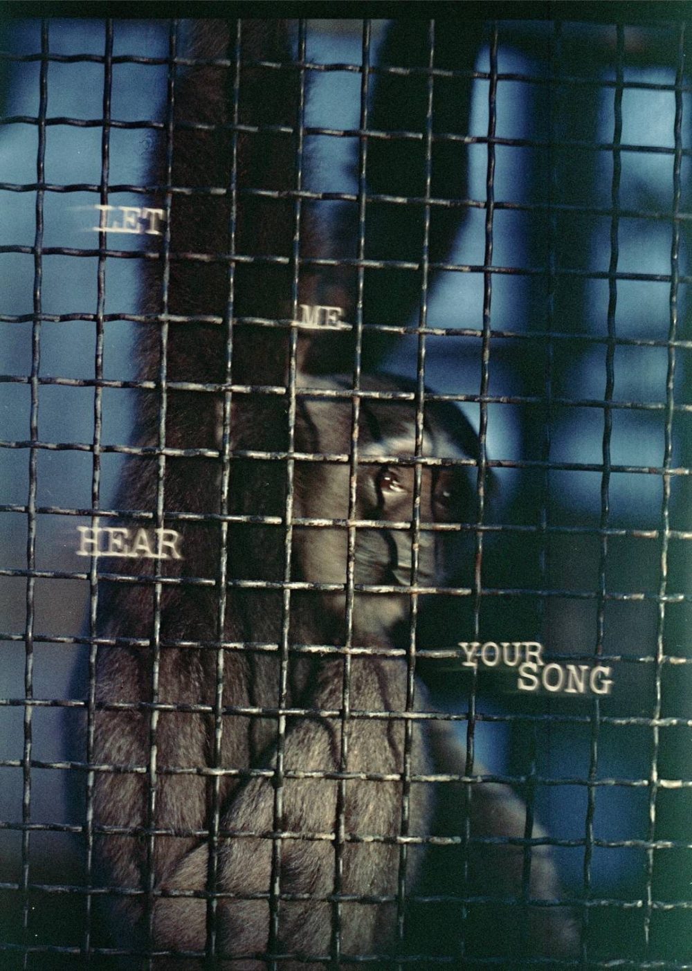 楊一楽 _ Yile Yang_Let Me Hear Your Song_フライヤー表面