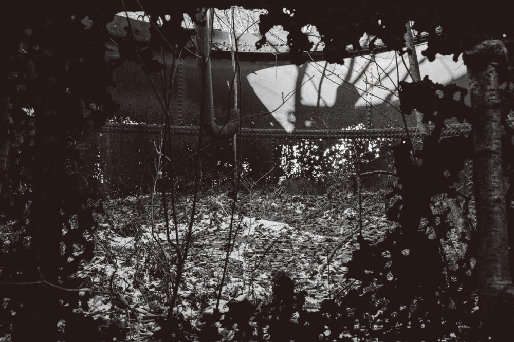 unnamed (2)