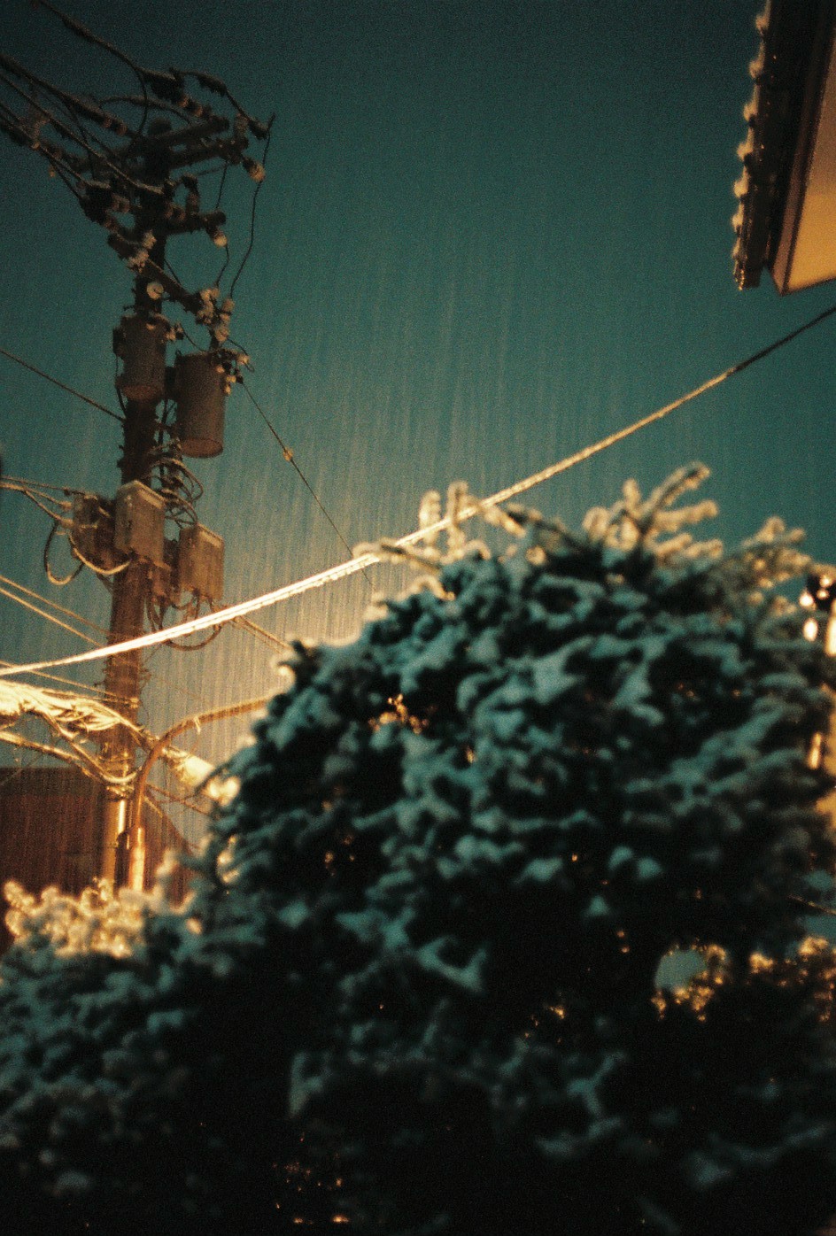 IMAGE_斎藤綾写真展