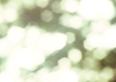 paletone_dm_back