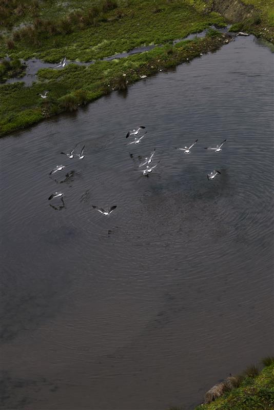 立木義浩写真展代表カット