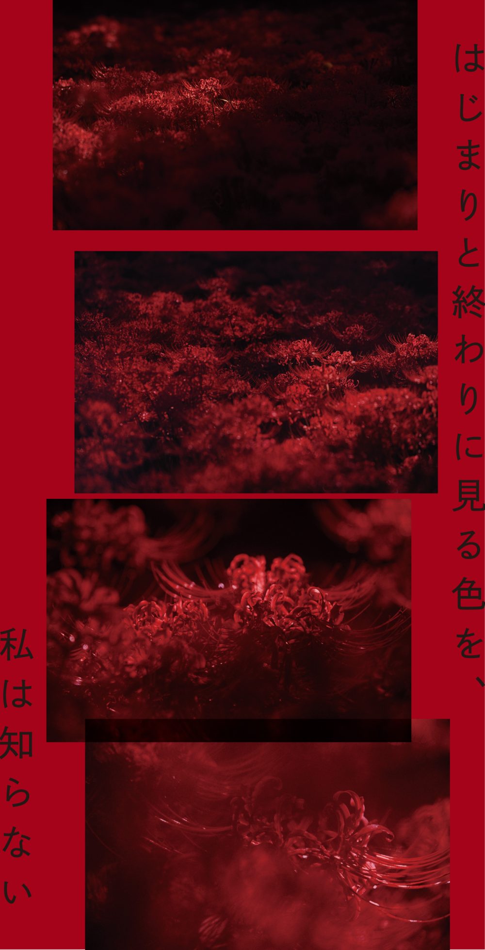 tojo_kaikan_inoue_sayuki_photo_exhibition_flyer_omote_image_0929