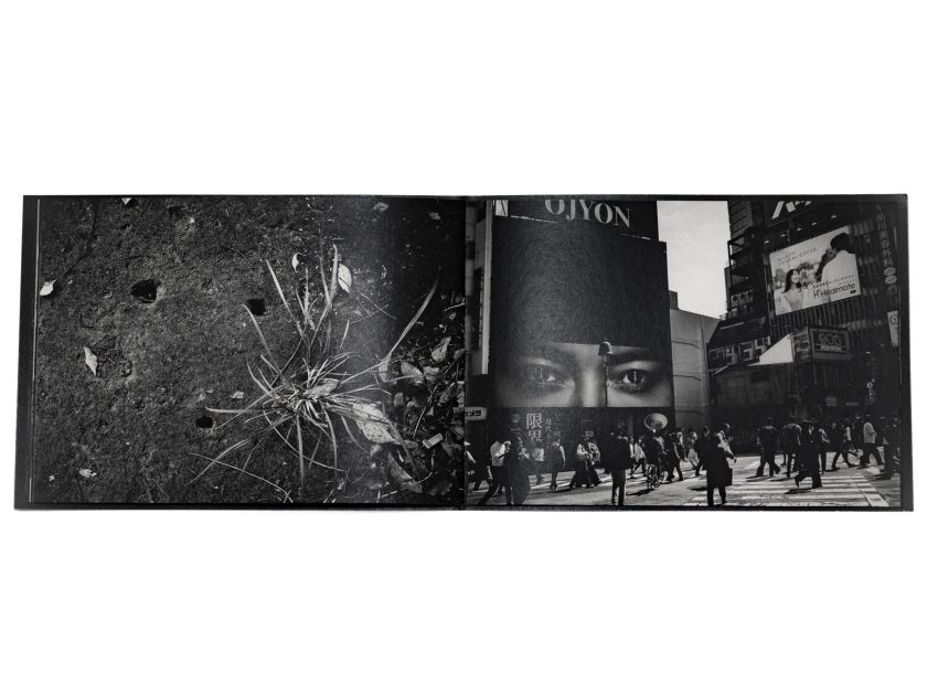 スナップで自己と他者を知覚する小西弘晃2作目写真集発刊 | NEWS | IMA