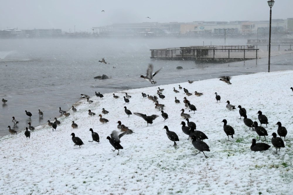山崎弘義写真展代表写真サイズ小