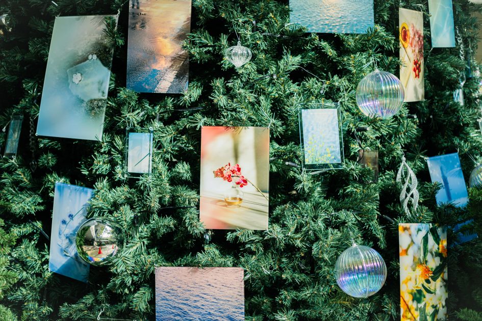 芸術写真 IMA LIVING WITH PHOTOGRAPHY 53d20fec322979cf5b87a53d0aeab0