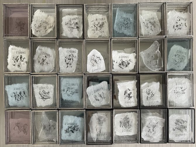 No matter what, I am still a part of it.（それでも、私は世界の一部としてある）