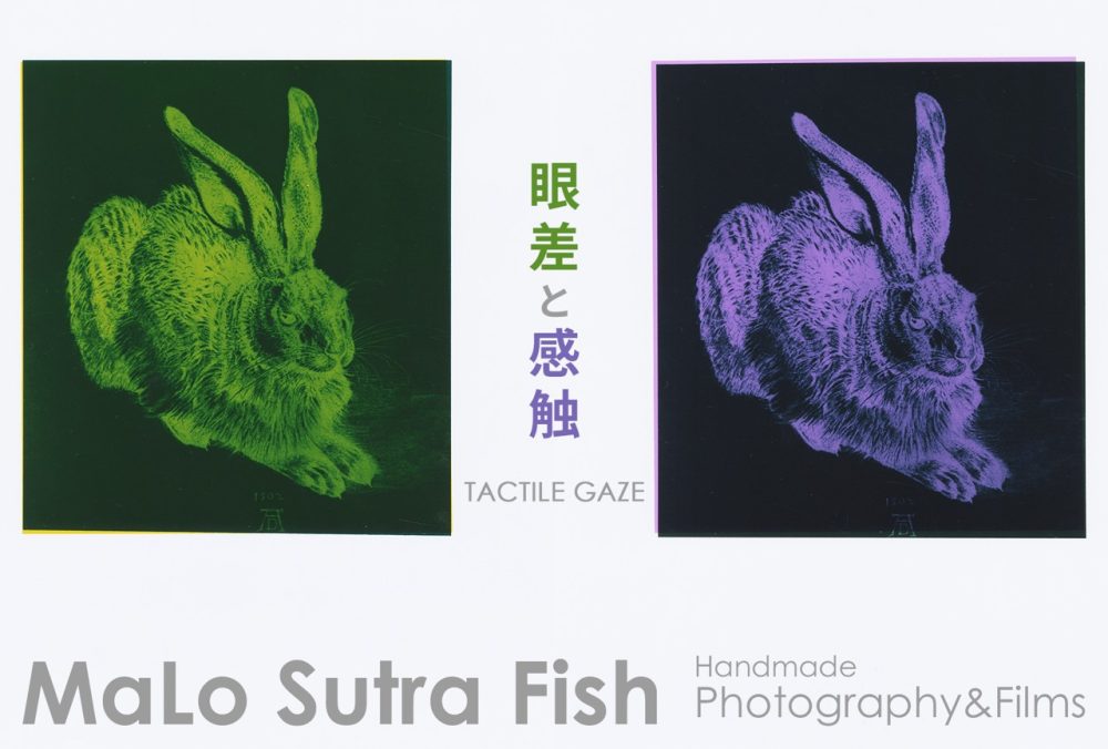 FINAL-Malo-Flyer-PNG（大）