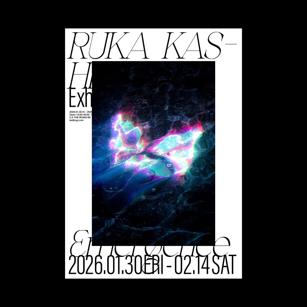 恵比寿映像祭_Feed