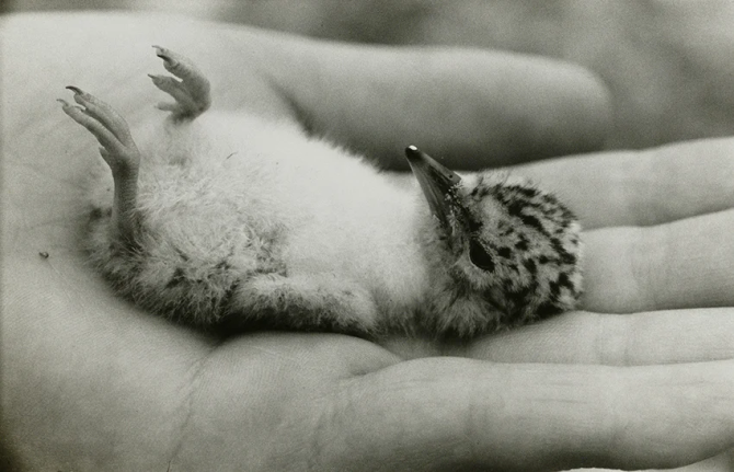 38211-1006-593c3d79e6831cac2dc9fafaceab9466-850x547