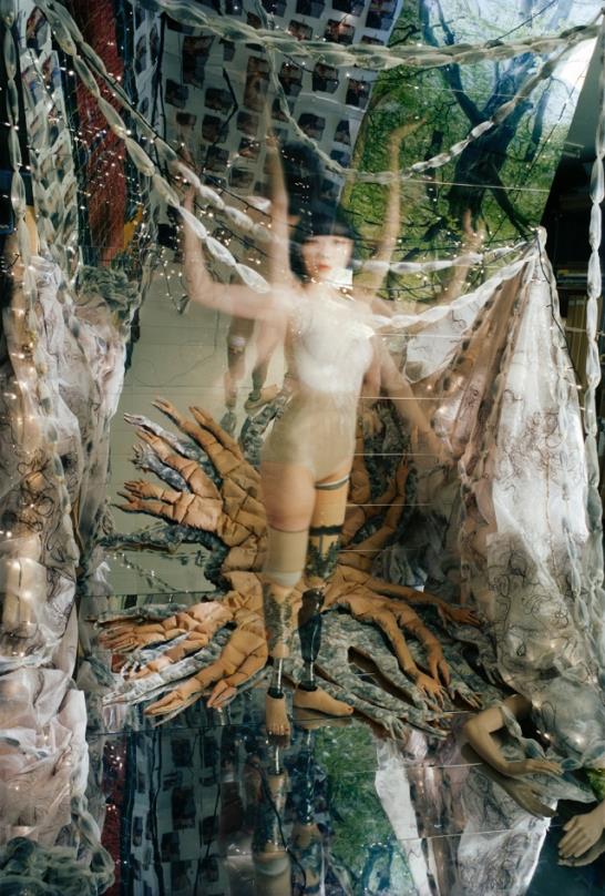 tree of life リリース