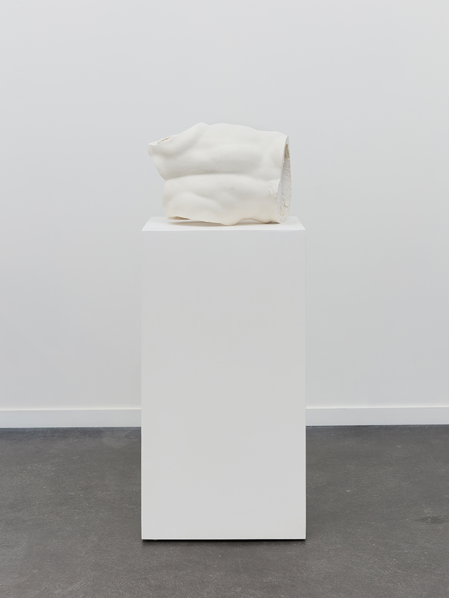 MMG-SC_23_040_72dpi_1200px