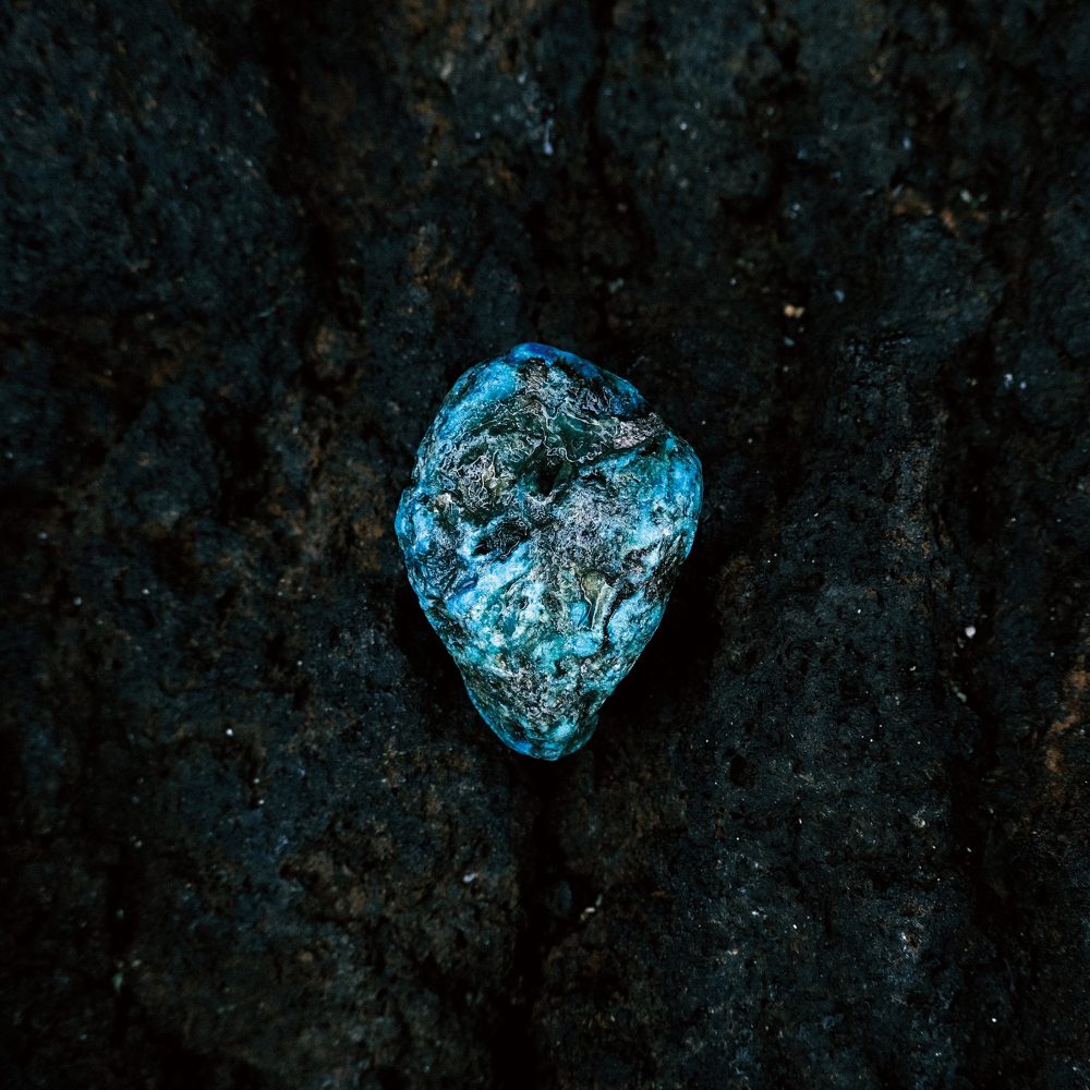 PressPelease_sarishibata