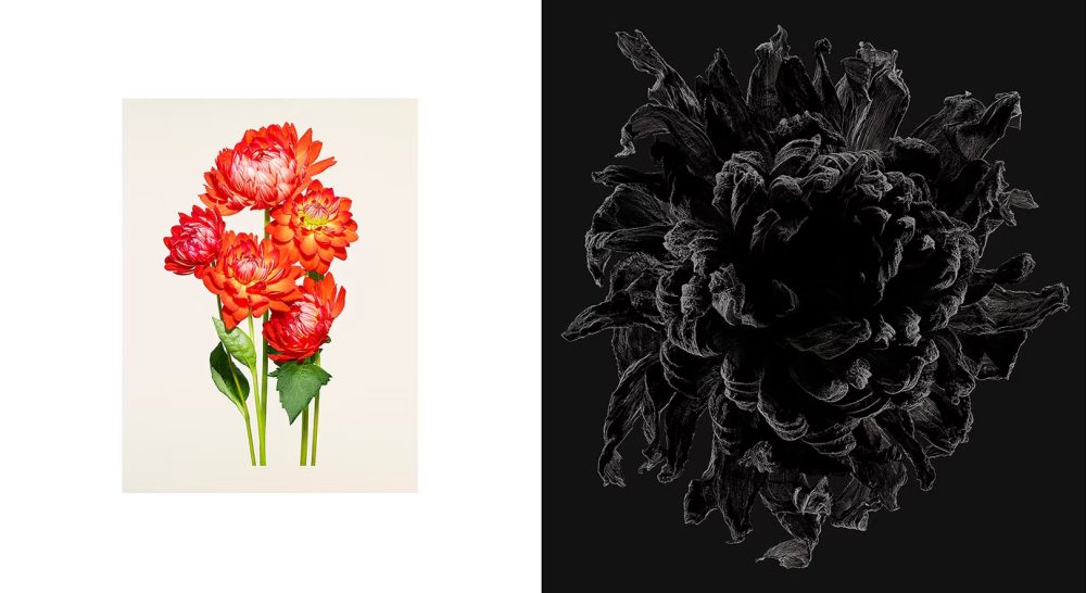 11a1a8_a54ffa1ca05f4c07b816ca540d08a0c5_mv2