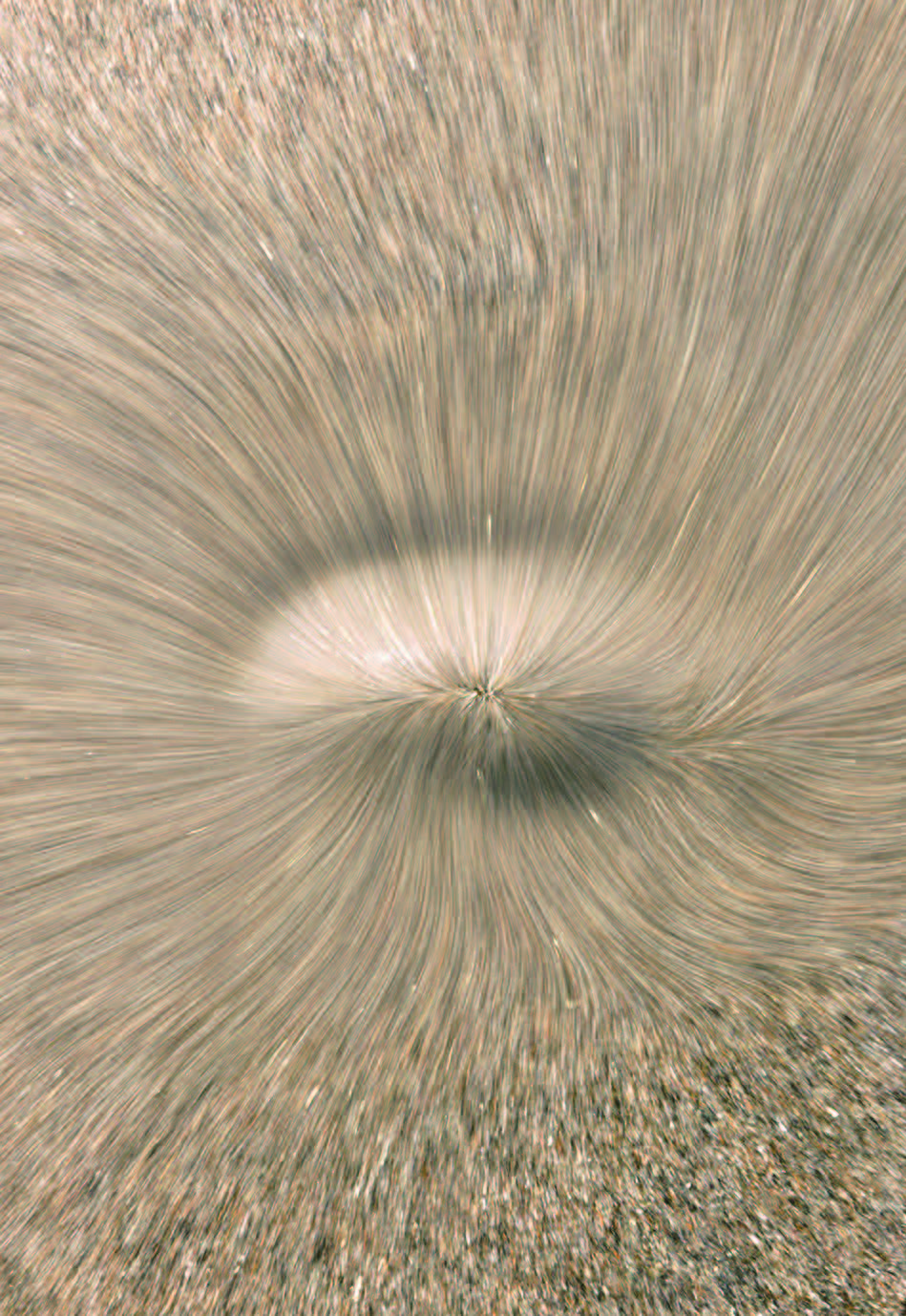 メディアリリース