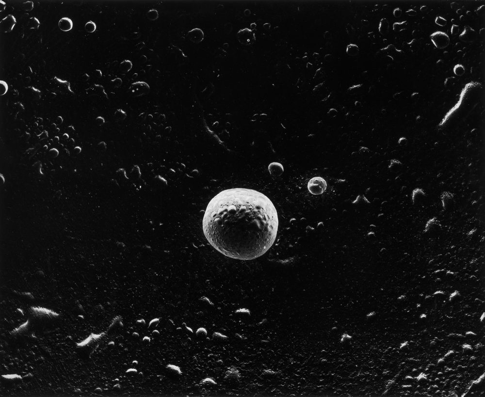 Artwork-1_Asteroid_Yoichiro-Nishimura_2026-June_©Yoichiro Nishimura